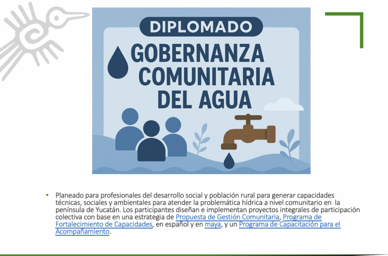 Captura de pantalla 2025-07-10 a la(s) 13.56.24