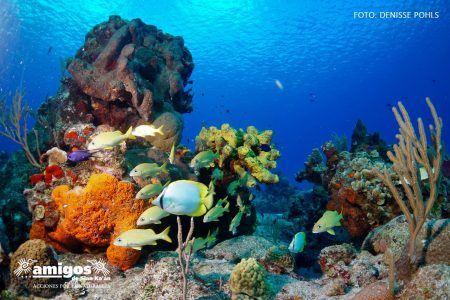 3e5c6f_bfa7eccd83d94fbcbd8e07c4ee9df080_mv2